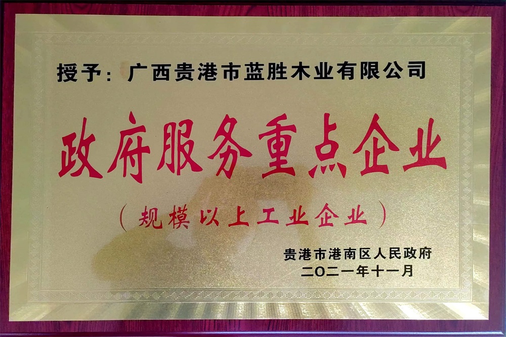 2021政府服務重點企業(yè)